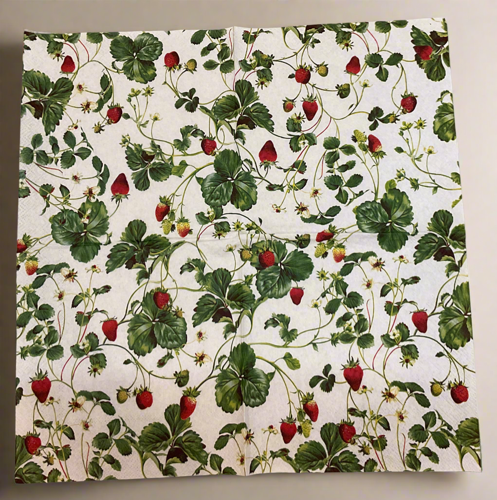 Specialty Decoupage/Craft Napkin Pack