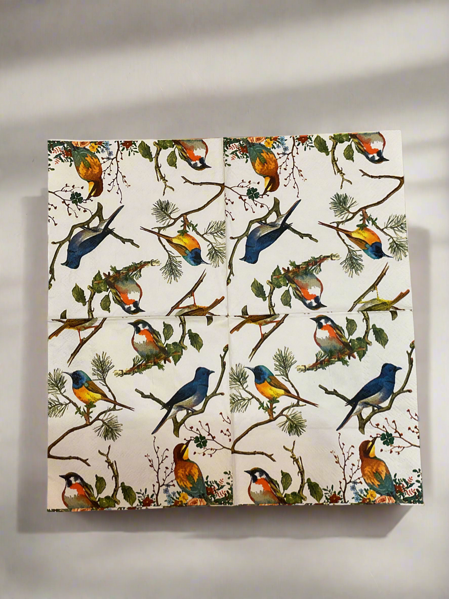 Specialty Decoupage/Craft Napkin Pack