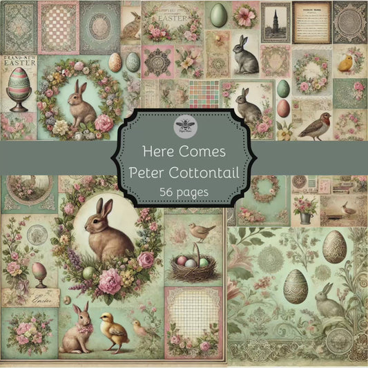 Here Comes Peter Cottontail